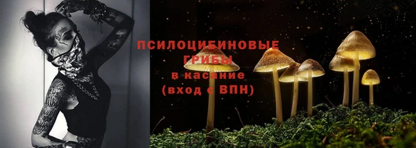 ПСИЛОЦИБИНОВЫЕ ГРИБЫ Алексеевка