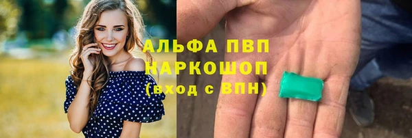 стаф Алексин