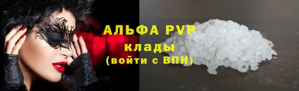стаф Алексин