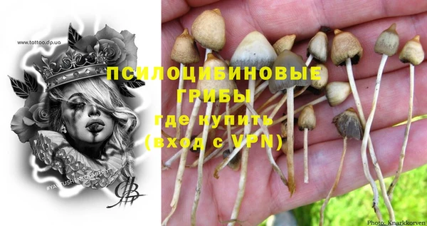 ПСИЛОЦИБИНОВЫЕ ГРИБЫ Алексеевка
