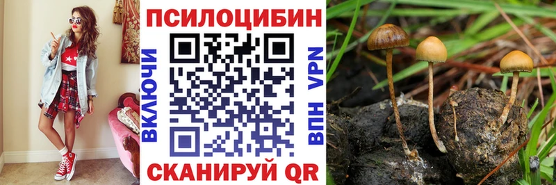 кракен маркетплейс Артёмовский Псилоцибиновые грибы Magic Shrooms